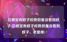 总感觉有蚊子咬我但是没看到蚊子(总感觉有蚊子咬我但是没看到蚊子、老是痒)