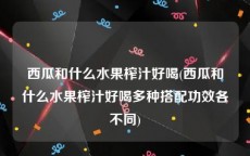 西瓜和什么水果榨汁好喝(西瓜和什么水果榨汁好喝多种搭配功效各不同)