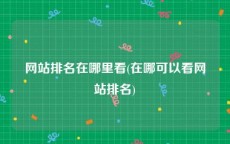 网站排名在哪里看(在哪可以看网站排名)