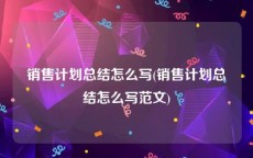 销售计划总结怎么写(销售计划总结怎么写范文)