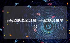 pubg皮肤怎么交易 pubg皮肤交易平台