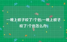一晚上蚊子咬了7个包(一晚上蚊子咬了7个包怎么办)