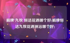 箭牌 九牧 恒洁花洒哪个好(箭牌恒洁九牧花洒淋浴哪个好)
