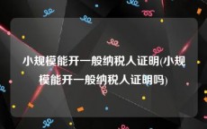 小规模能开一般纳税人证明(小规模能开一般纳税人证明吗)