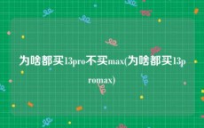 为啥都买13pro不买max(为啥都买13promax)