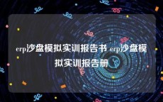 erp沙盘模拟实训报告书 erp沙盘模拟实训报告册