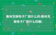 惠州龙旗电子厂做什么的(惠州龙旗电子厂做什么的啊)