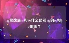 gg修改器sw和hw什么区别 gg的sw和hw用哪个