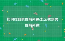如何找到男性前列腺(怎么找到男性前列腺)