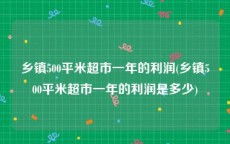 乡镇500平米超市一年的利润(乡镇500平米超市一年的利润是多少)