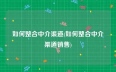 如何整合中介渠道(如何整合中介渠道销售)