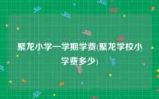聚龙小学一学期学费(聚龙学校小学费多少)