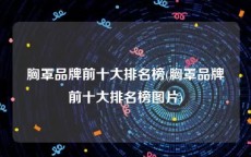 胸罩品牌前十大排名榜(胸罩品牌前十大排名榜图片)