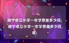南宁卓立小学一年学费是多少钱(南宁卓立小学一年学费是多少钱呢)