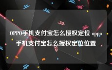 OPPO手机支付宝怎么授权定位 oppo手机支付宝怎么授权定位位置