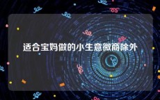 适合宝妈做的小生意微商除外