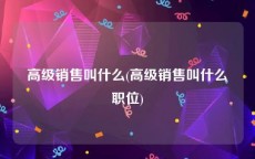高级销售叫什么(高级销售叫什么职位)
