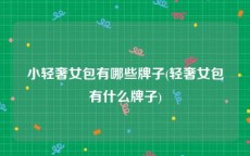 小轻奢女包有哪些牌子(轻奢女包有什么牌子)