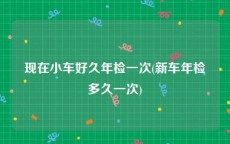 现在小车好久年检一次(新车年检多久一次)