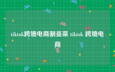 tiktok跨境电商割韭菜 tiktok 跨境电商
