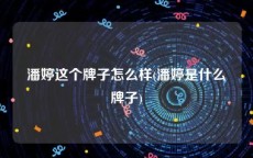 潘婷这个牌子怎么样(潘婷是什么牌子)