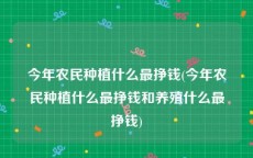 今年农民种植什么最挣钱(今年农民种植什么最挣钱和养殖什么最挣钱)