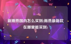新雨燕国内怎么买到(雨燕最新款在哪里能买到)
