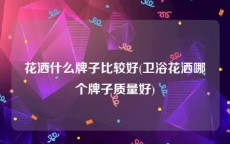 花洒什么牌子比较好(卫浴花洒哪个牌子质量好)