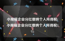 小规模企业分红缴纳个人所得税(小规模企业分红缴纳个人所得税3%)