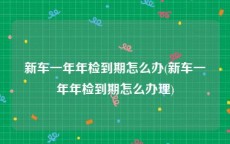 新车一年年检到期怎么办(新车一年年检到期怎么办理)