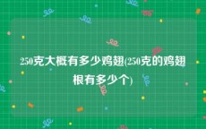 250克大概有多少鸡翅(250克的鸡翅根有多少个)