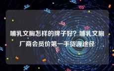 哺乳文胸怎样的牌子好？哺乳文胸厂商会员价第一手货源途径