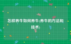 怎样养牛如何养牛(养牛的方法和技术)