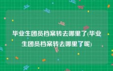 毕业生团员档案转去哪里了(毕业生团员档案转去哪里了呢)