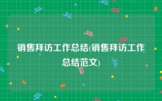 销售拜访工作总结(销售拜访工作总结范文)