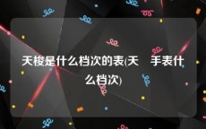 天梭是什么档次的表(天珺手表什么档次)