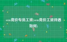 sem竞价专员工资(sem竞价工资待遇如何)