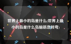 世界上最小的岛是什么(世界上最小的岛是什么岛脑筋急转弯)