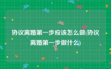 协议离婚第一步应该怎么做(协议离婚第一步做什么)