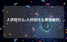 入伏吃什么(入伏吃什么食物最好)