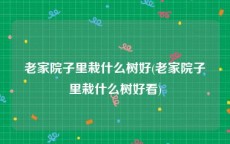 老家院子里栽什么树好(老家院子里栽什么树好看)