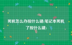 死机怎么办按什么键(笔记本死机了按什么键)