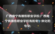 广西南宁有哪些职业学校(广西南宁有哪些职业学校有机电一体化的专业)