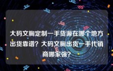 大码文胸定制一手货源在哪个地方出货靠谱？大码文胸出货一手代销商哪家强？