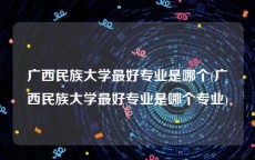 广西民族大学最好专业是哪个(广西民族大学最好专业是哪个专业)