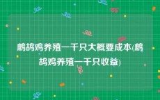 鹧鸪鸡养殖一千只大概要成本(鹧鸪鸡养殖一千只收益)