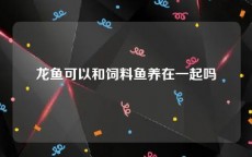 龙鱼可以和饲料鱼养在一起吗