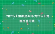 为什么主角都是圣母(为什么主角都是圣母婊)
