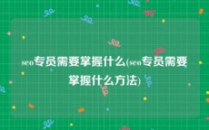 seo专员需要掌握什么(seo专员需要掌握什么方法)