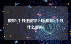脱审4个月还能审上吗(脱审4个月什么后果)